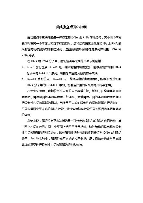 酶切位点平末端