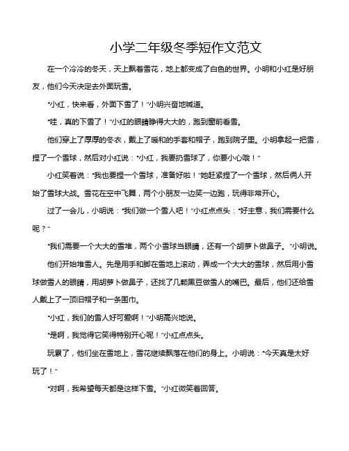 小学二年级冬季短作文范文