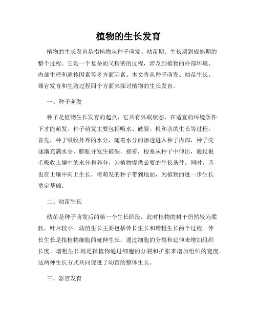 植物的生长发育