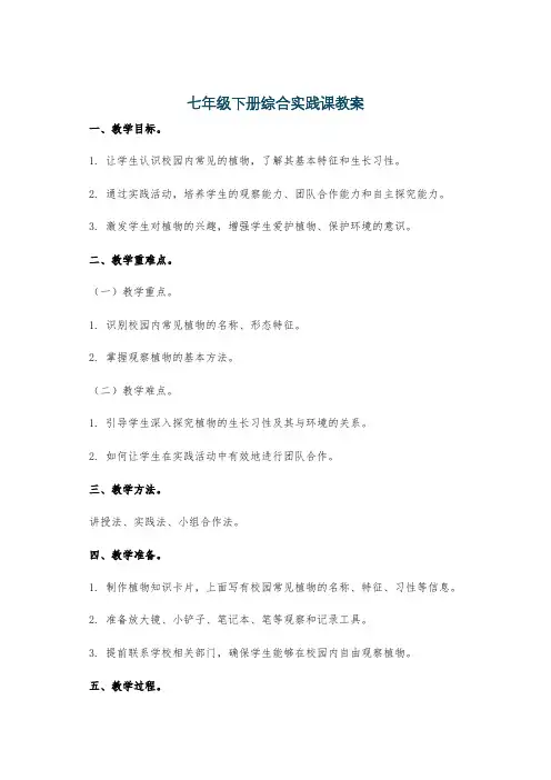 七年级下册综合实践课教案