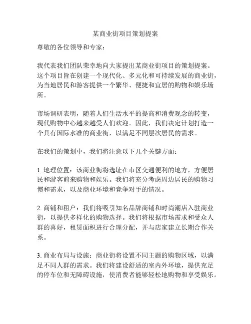 某商业街项目策划提案