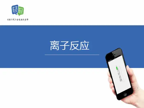 人教版高一化学必修一离子反应