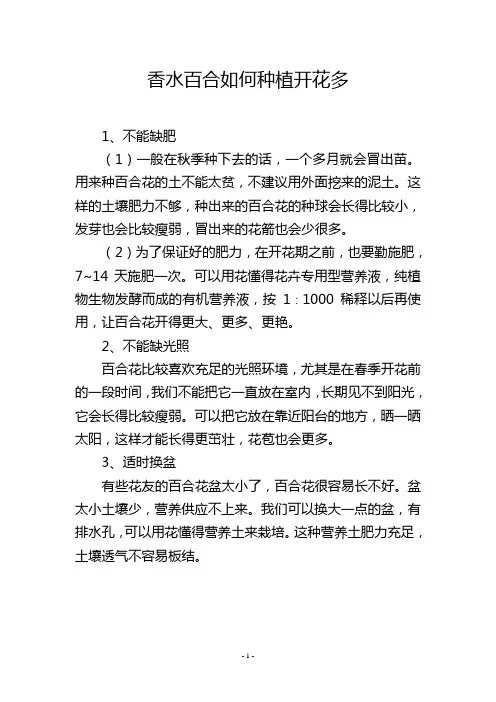 香水百合如何种植开花多