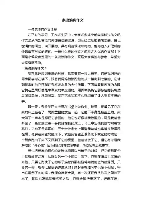 一条流浪狗作文3篇