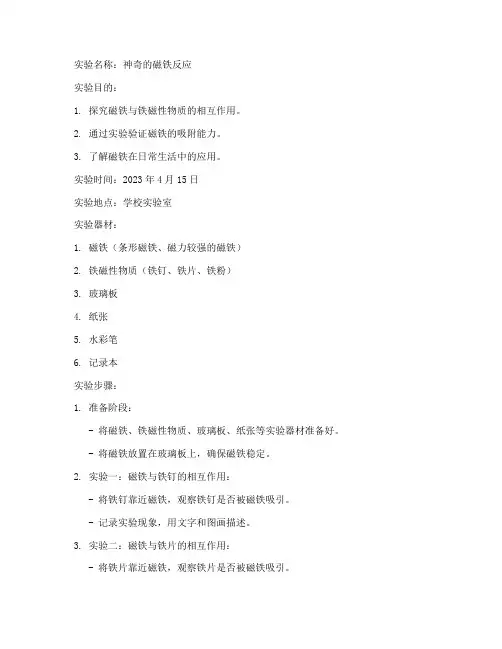 神奇小实验报告