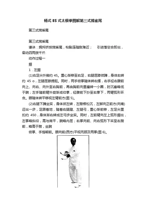杨式85式太极拳图解第三式揽雀尾