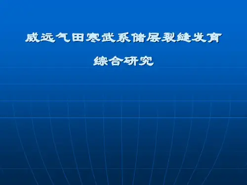 裂缝预测讲座PPT