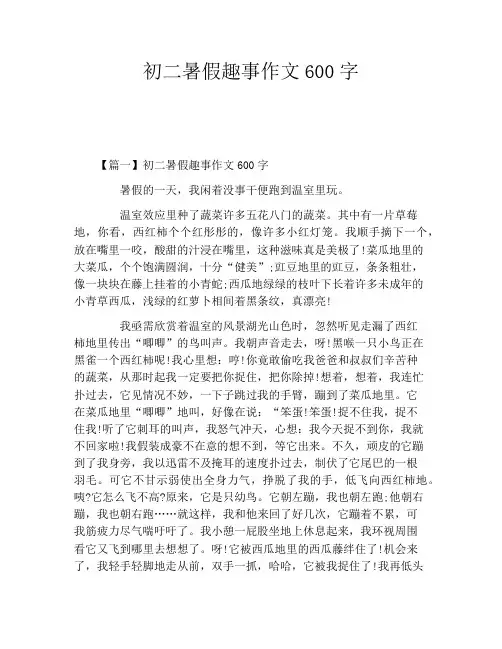 初二暑假趣事作文600字