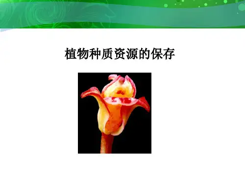 种质保存(植物组织培养课件)