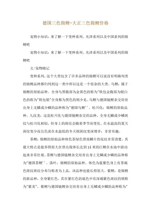 德国三色锦鲤-大正三色锦鲤价格