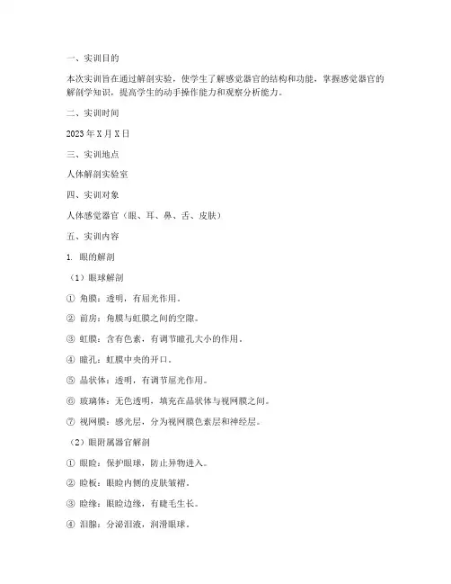 感觉器官解剖的实训报告