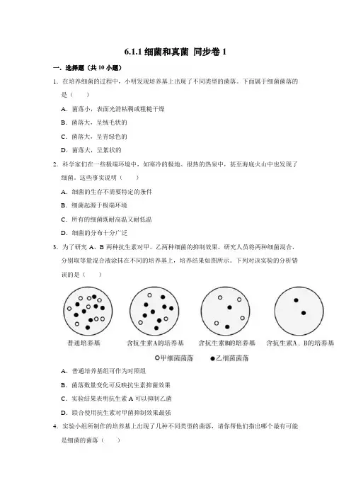鲁科五四制版生物七年级下册细菌和真菌