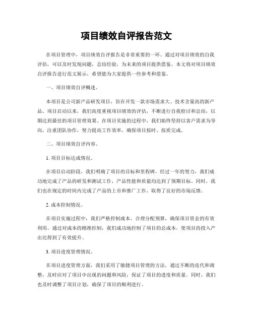 项目绩效自评报告范文