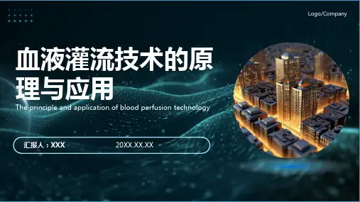 血液灌流技术及护理ppt模板
