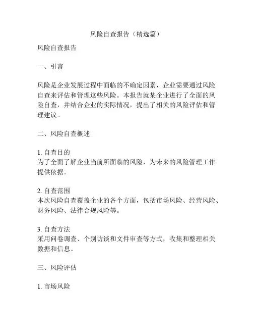 风险自查报告(精选篇)