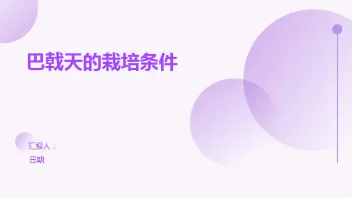 巴戟天的栽培条件