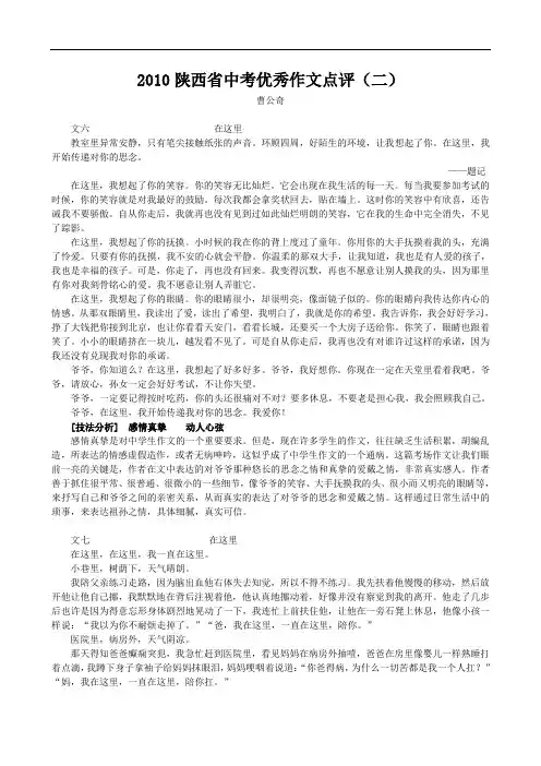 陕西省中考优秀作文点评(二) doc