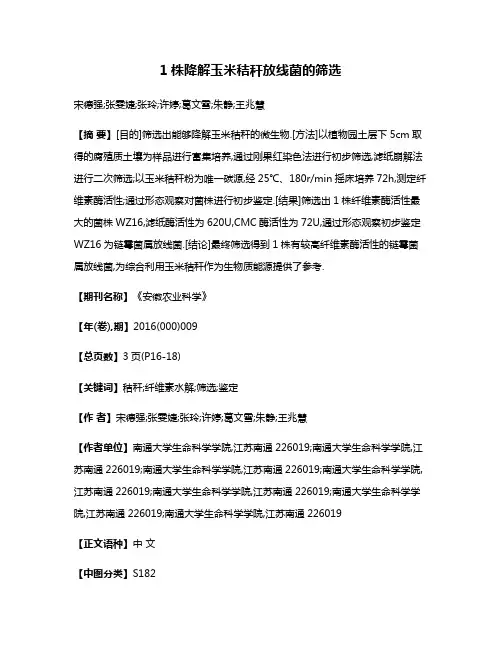1株降解玉米秸秆放线菌的筛选