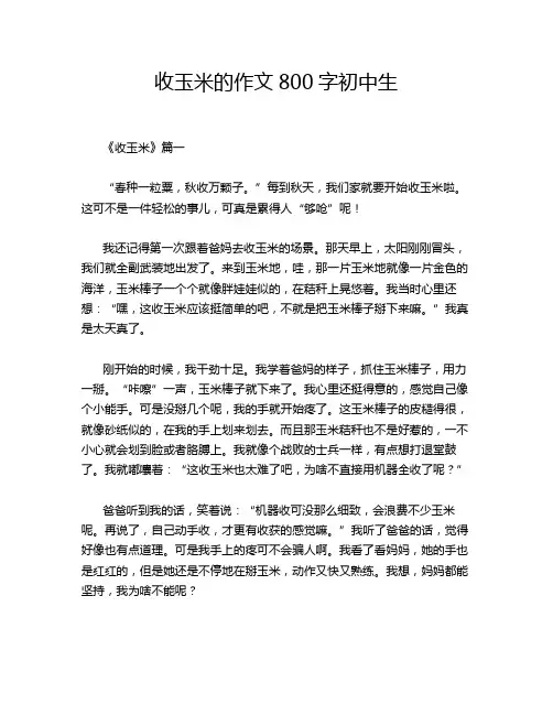 收玉米的作文800字初中生
