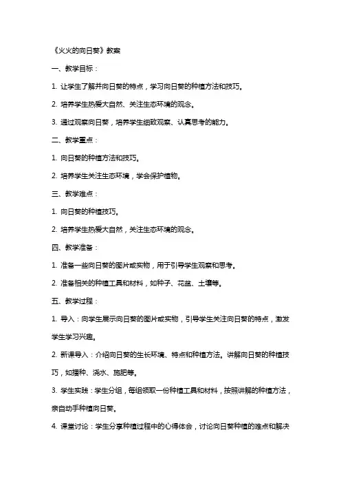 《火火的向日葵》教案