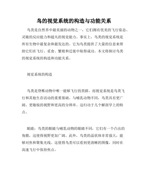 鸟的视觉系统的构造与功能关系