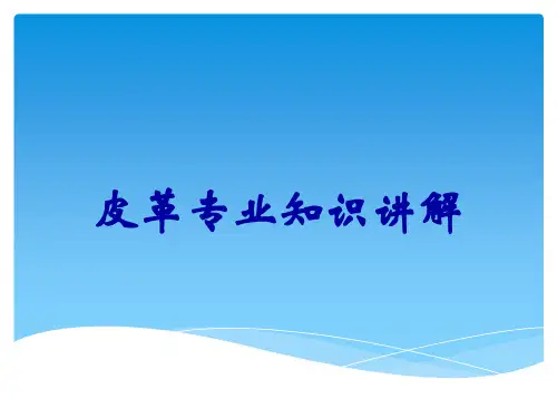 皮革专业知识讲解
