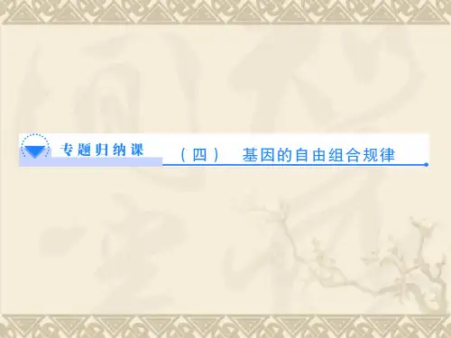 (教师用书)高中生物 第2单元 第2章 基因的自由组合规律专题归纳课件 中图版必修2