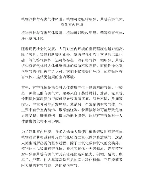 植物养护与有害气体吸附：植物可以吸收甲醛、苯等有害气体,净化室内环境