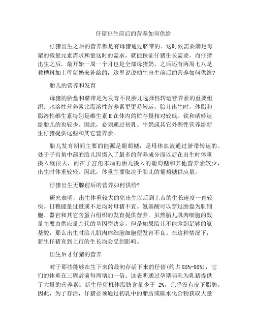 仔猪出生前后的营养如何供给