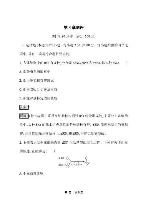 人教版高中生物必修2课后习题 第4章 基因的表达 第4章测评
