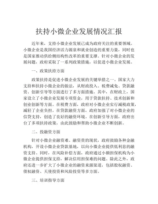 扶持小微企业发展情况汇报
