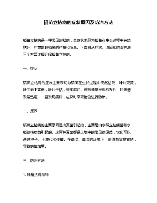 稻苗立枯病的症状原因及防治方法