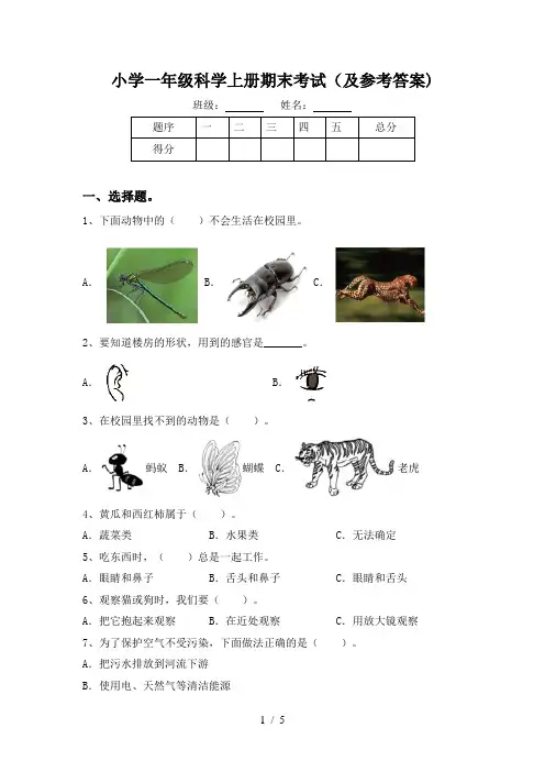 小学一年级科学上册期末考试(及参考答案)