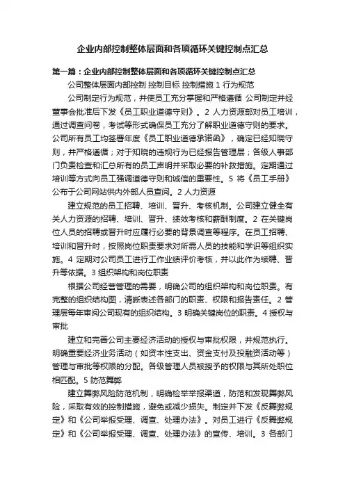 企业内部控制整体层面和各项循环关键控制点汇总
