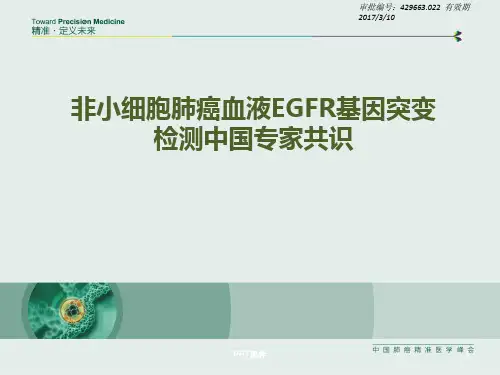 EGFR血液检测专家共识  ppt课件