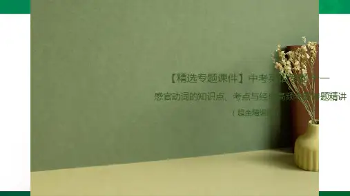 中考英语总复习语法专题感官动词的知识点考点与高频考题专题精讲