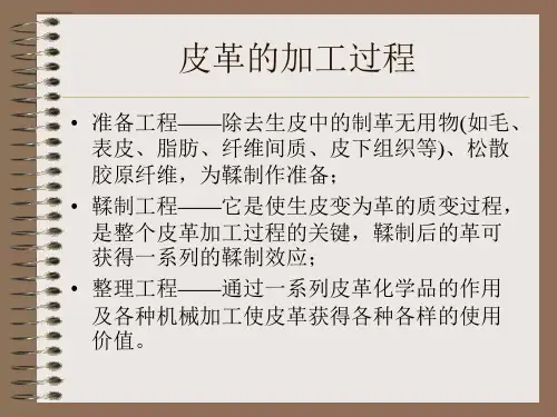 皮衣制造流程