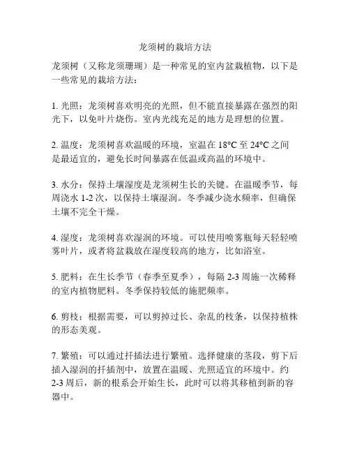 龙须树的栽培方法