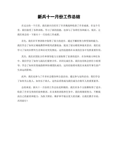 新兵十一月份工作总结