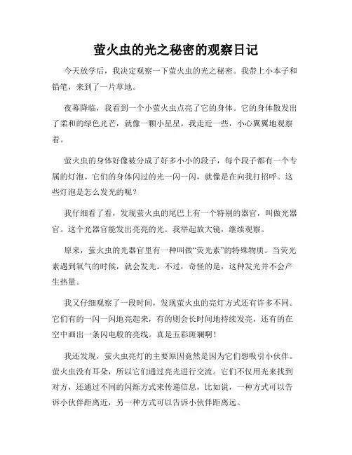 小学三年级作文萤火虫的光之秘密的观察日记