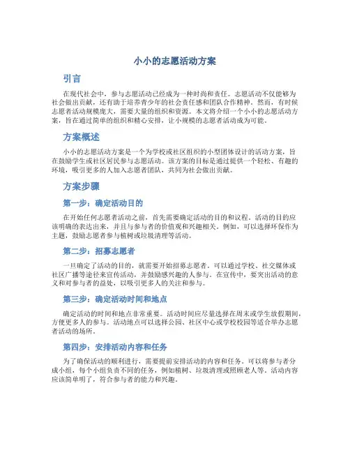 小小的志愿活动方案