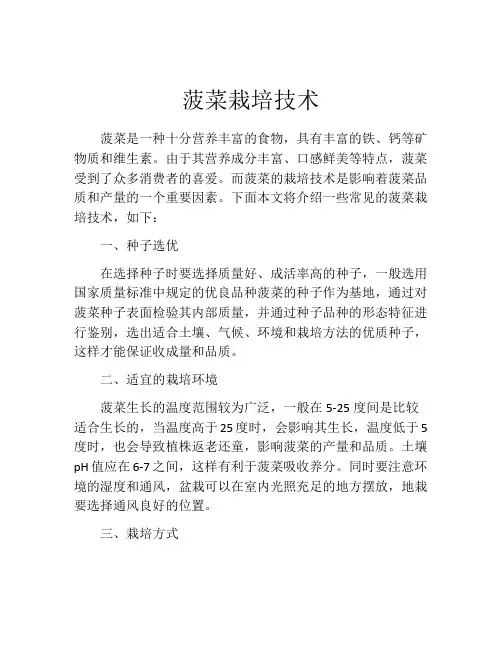 菠菜栽培技术