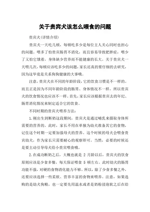 关于贵宾犬该怎么喂食的问题