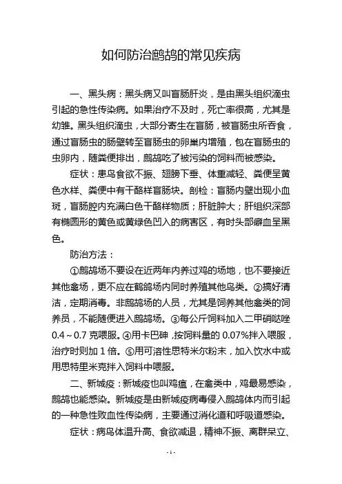 如何防治鹧鸪的常见疾病