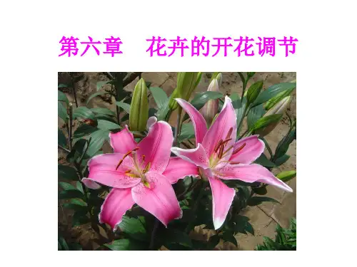 第六章花卉的开花调节