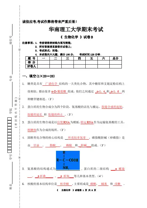 华南理工大学—生物化学B卷