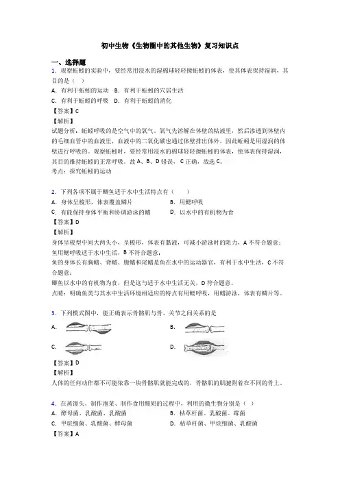 初中生物《生物圈中的其他生物》复习知识点