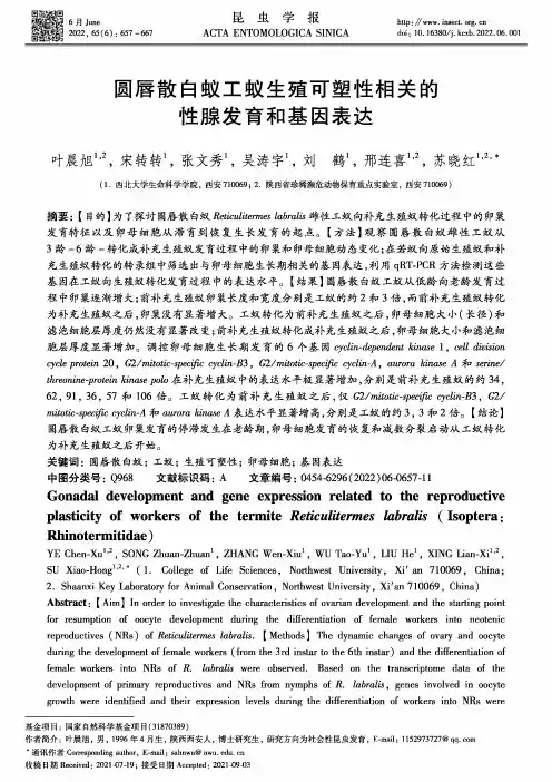 圆唇散白蚁工蚁生殖可塑性相关的性腺发育和基因表达