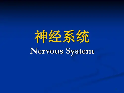 神经系统的概述PPT课件