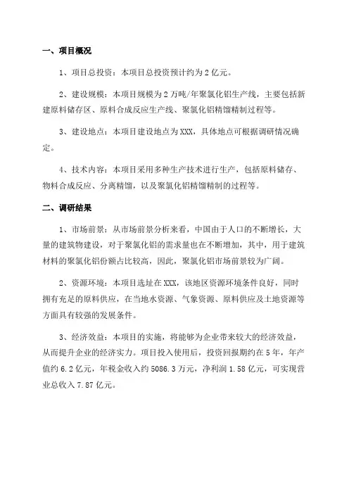 年产2万吨聚氯化铝项目可行性调研报告